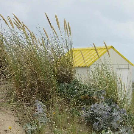 Village Les Sables D'or *