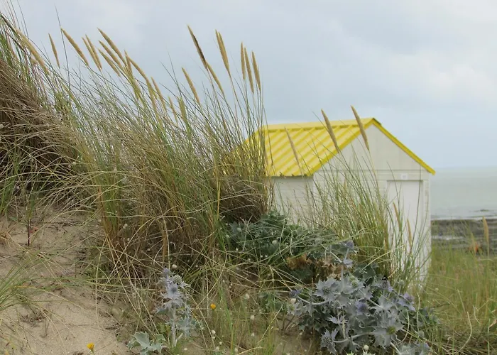 Village Les Sables D'or *